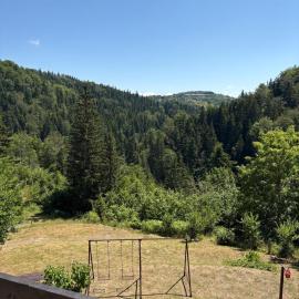 Apartmani Zelena jela