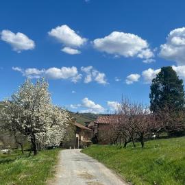 La Feia cascina di Langa