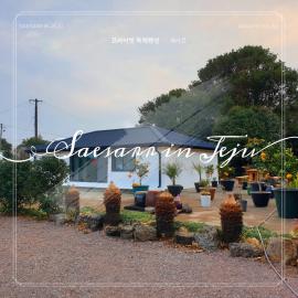 Private Stay in Mandarin Orchard, 100m from Sea