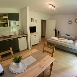 Ferienwohnung im Zentrum von Werther mit Terrasse und Garten
