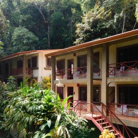 Private Spacious Fully Serviced Apt #6 w/ Pool