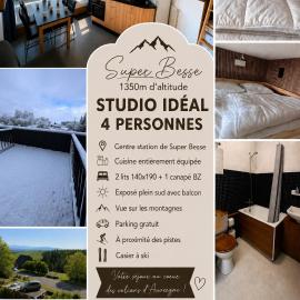 Studio 4 personnes Super Besse centre de station avec balcon vue sur les montagnes, hotel in Besse-et-Saint-Anastaise