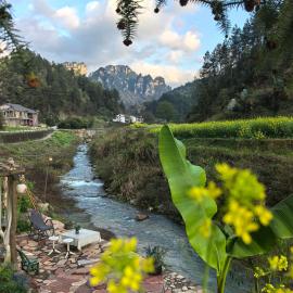 Xiangzixi Homestay-Inside the Park-no queues Enter-English Service-free Tour Itinerary Planning