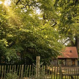 Wellness-Auszeit im Dümmer-Weserland in außergewöhnlichem Ferienhaus inklusive privates Saunahaus, hotel in Eydelstedt