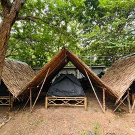 Zulu land Kohlarn