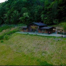 Casa cu Pădure, hotel in Vălenii de Munte