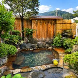 Ubanoyu Ryokan โรงแรมในโอซากิ