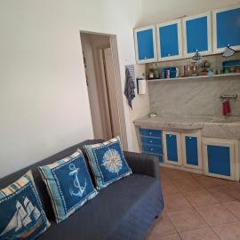 Lupo di mare