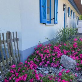 Ferienhäuser Luv und Lee OVS 106 Neu 20, hotel in Zierow
