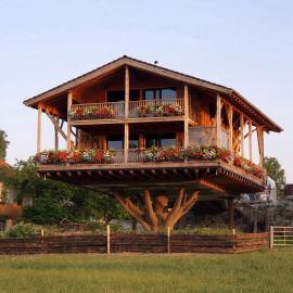 Deutschlands grösstes Baumhaus auf der Alpakaweide