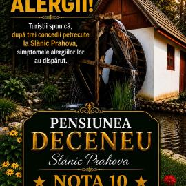 Pensiunea Deceneu, ξενοδοχείο σε Slănic