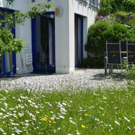 Ferienwohnung mit Terrasse