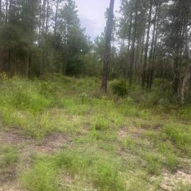 Nice 4,000 sqft vacant lot will need to bring your own tent or camper, hotel in Hawthorne
