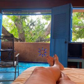 La Casa Del Mango