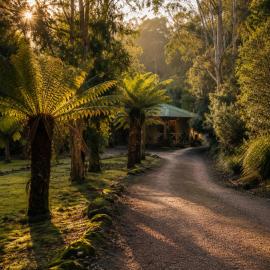 Cradle forest inn, hotel u gradu 'Moina'