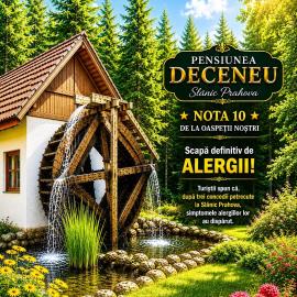 Pensiunea Deceneu, hotel en Slănic