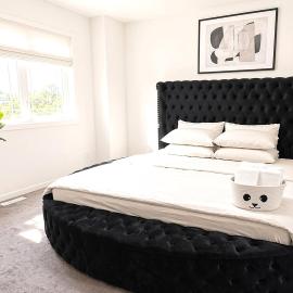 New Luxury 3BR Home