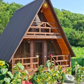 WILD NEST Cottage