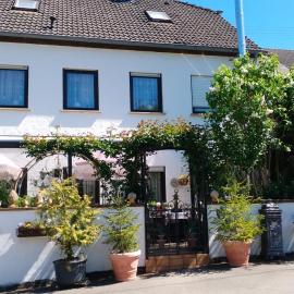 Ferienwohnung Auf der Lay - Weinberge und Natur