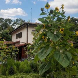 Guesthouse Oomiya base 大宮基地別荘, hotel in Chiba