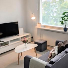 Cozy studio in Kemi City