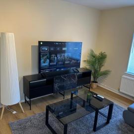 Modern Parkside Apartment