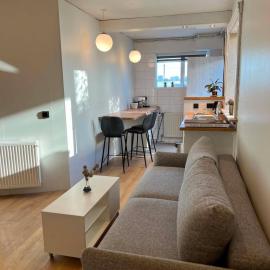 Cosy Apartment in Reykjavik Area