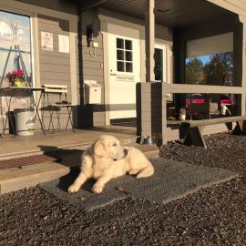 Arctic Camping Finland, hotel in Pello