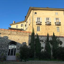 Volta Palazzo Gout