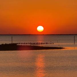 Waterfront Fishing Stay, Canal Access & Shallow Flats