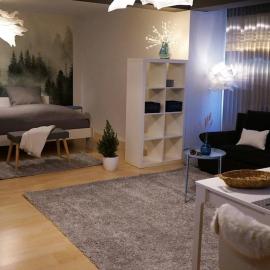 Ruhig 50 qm Apartment eigener Parkplatz Hasel, Lörrach, Basel