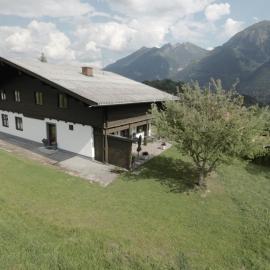 Hackerhof Apartments&Zimmer, hotel in Goldegg