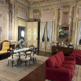 Salone Palazzo Gout