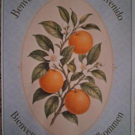 Casa Naranja