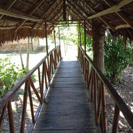 Amazon Lodge and Expeditions, hotel in Iquitos