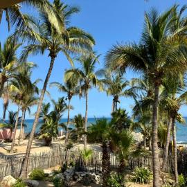 Oceanfront Condos in San José del Cabo