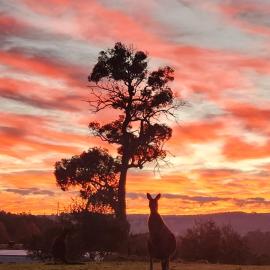 Brodie's Farm, hotel a Nannup