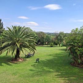 Serene Pastures