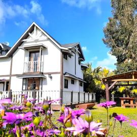 Suites La Campiña Algarrobo – hotel w mieście Algarrobo
