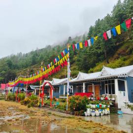 Bluebird Riverside Homestay