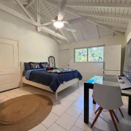 Charming studio Saint-Martin 30 m², garden