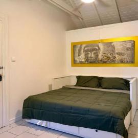 Modern Studio Saint-Martin 20 m², garden