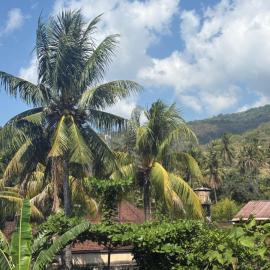 Ole Homestay