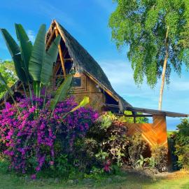 Cabin with incredible ocean and rainforest views