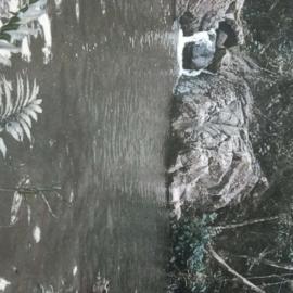 Hacienda mi Remanso โรงแรมในคากวัส