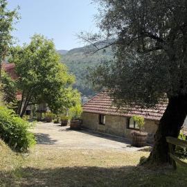 Serena Valley Nest 01
