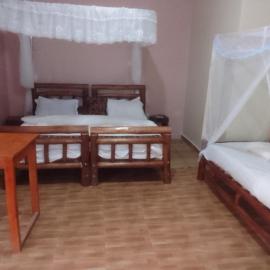 Dream jet suites