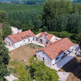 Domaine Alga, a bucolic cottage 10 minutes from Cognac