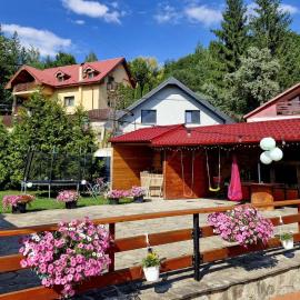 Casa Delia, hotel in Slănic-Moldova
