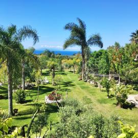 Farmhouse with swimming pool in Capo Vaticano